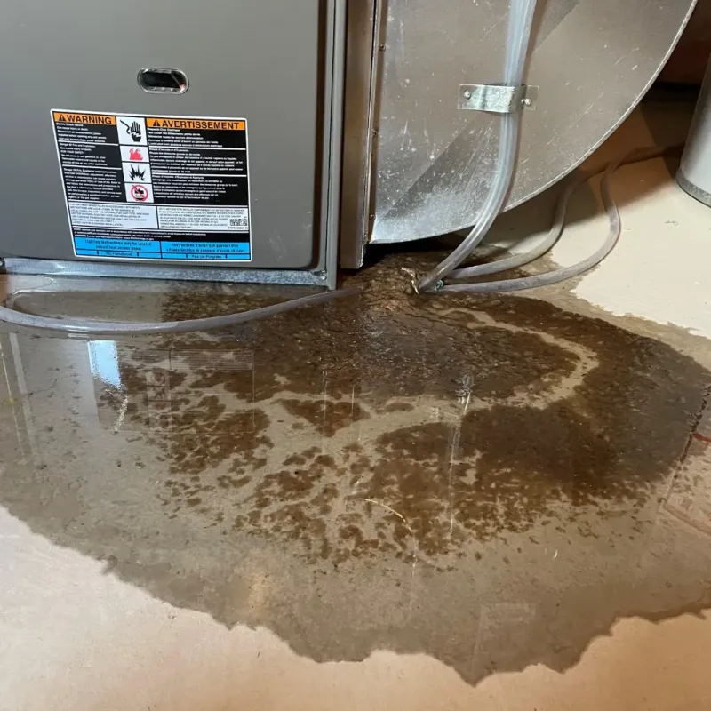 Appliance Leak Cleanup in Hamilton, IN